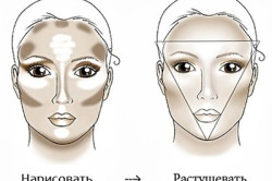 Схема нанесения базы под макияж