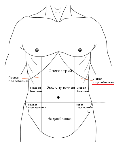 Левое подреберье