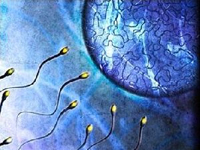 Как сдать сперму в Банк спермы