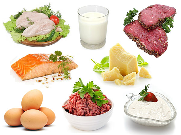Protein-Foods