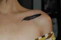 Эскиз татуировки Перо для женщин на плече