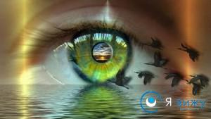 Человеческий глаз воспринимает информацию и передает ее в мозг