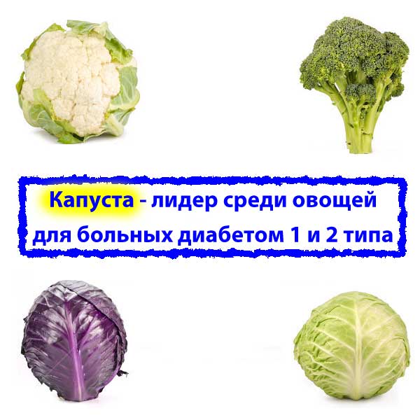капуста и другие овощи при диабете